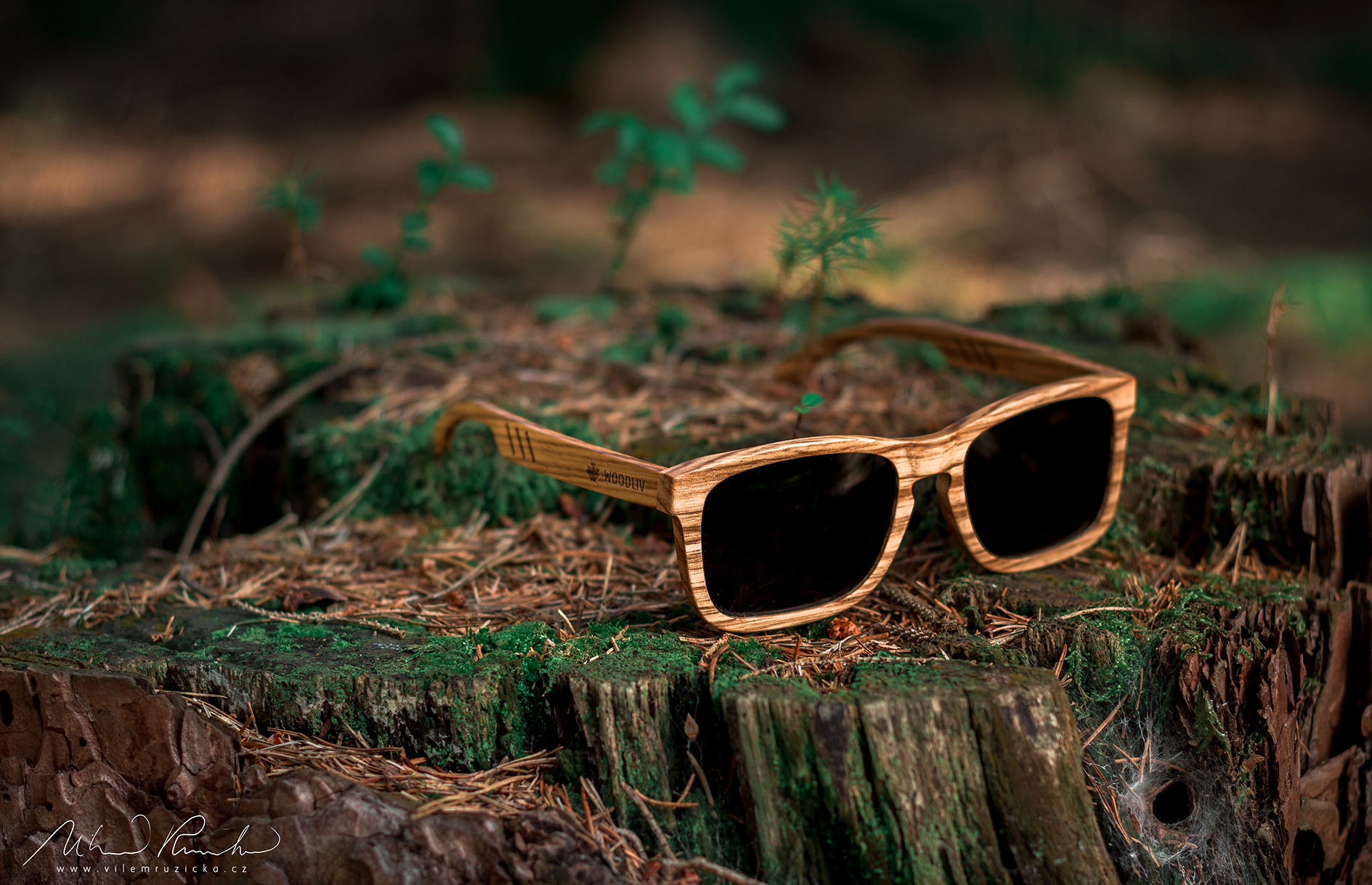 WOODLIV Sunglasses Product Photo